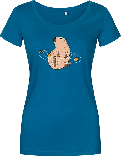 Capy Solar System