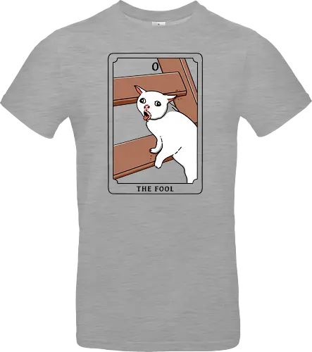 The Fool Funny Cat