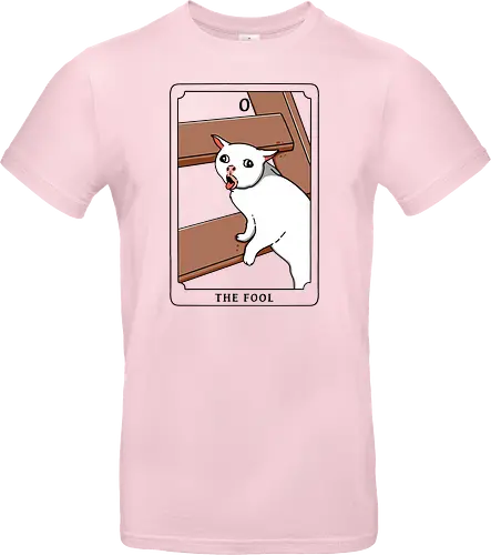 The Fool Funny Cat