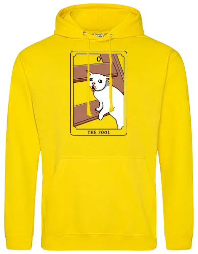 The Fool Funny Cat