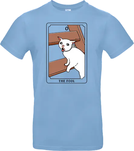 The Fool Funny Cat