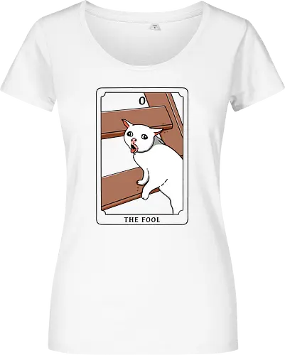 The Fool Funny Cat