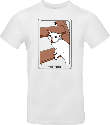 The Fool Funny Cat