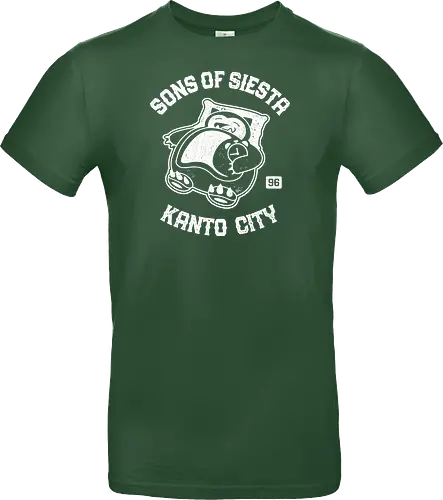 Sons Of Siesta