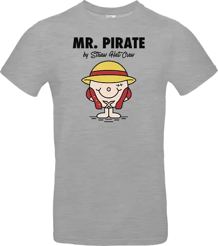 The Little Mr Pirate