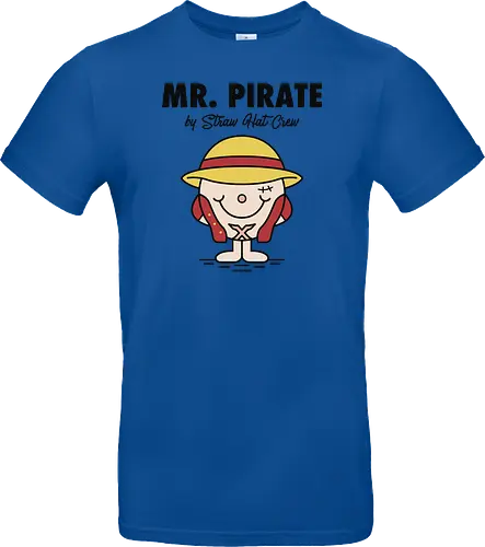 The Little Mr Pirate