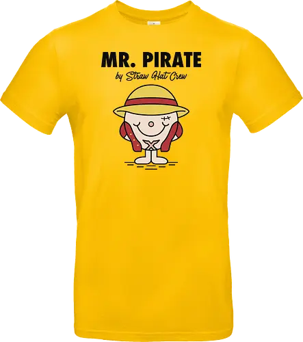The Little Mr Pirate