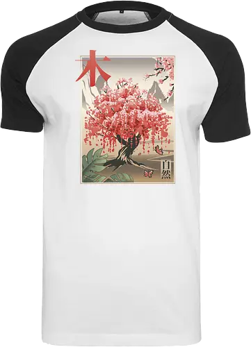 Japanese Sakura Tree