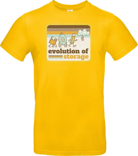 Evolution of Storage