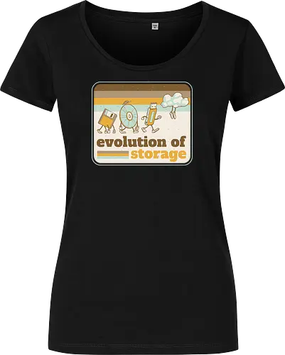 Evolution of Storage