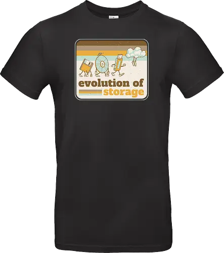 Evolution of Storage