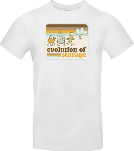 Evolution of Storage