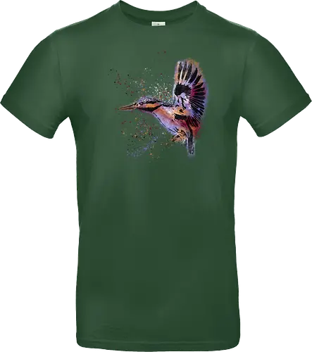 Eisvogel /  Kingfisher