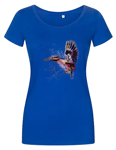 Eisvogel /  Kingfisher