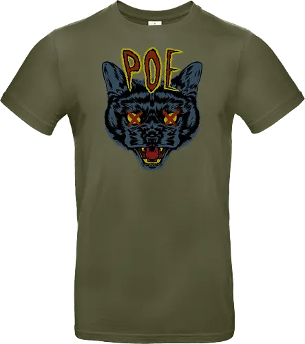 Poe's Cat