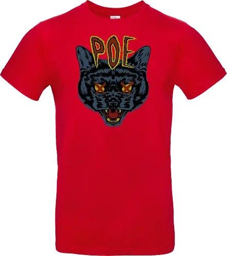 Poe's Cat