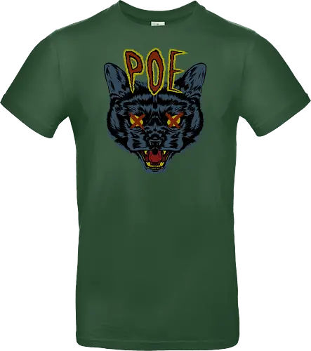 Poe's Cat
