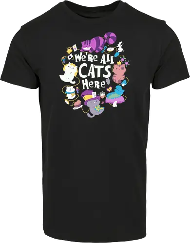 We are all Cats here