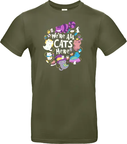 We are all Cats here