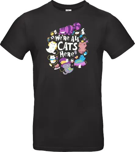 We are all Cats here