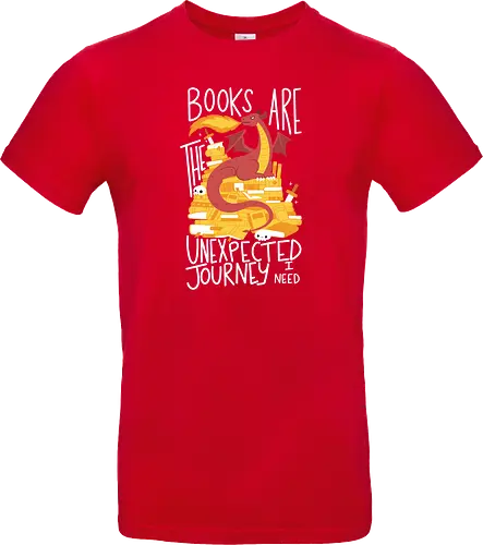 Book Dragon