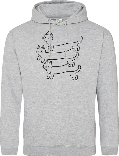 Illusion of Cats