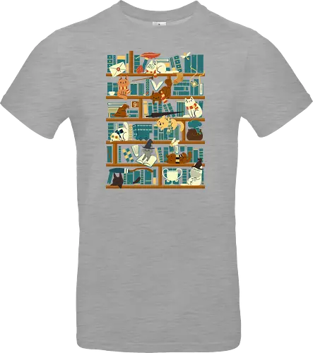 Library Magic School