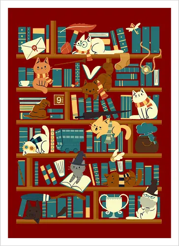 Library Magic School