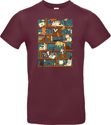 Library Magic School