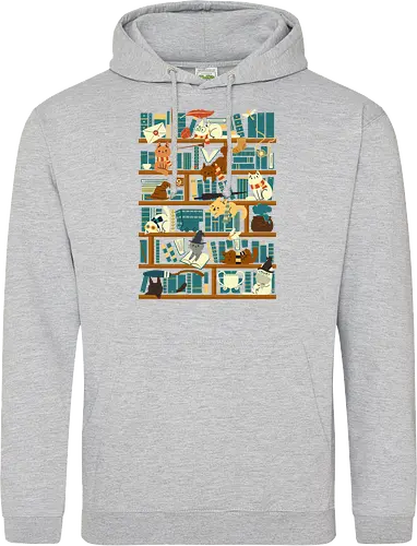 Library Magic School