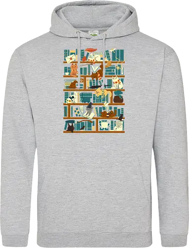 Library Magic School