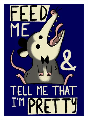 Pretty Possum