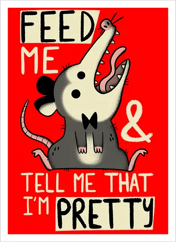 Pretty Possum