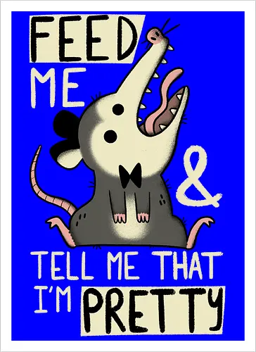 Pretty Possum
