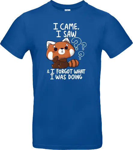 Forgetful Red Panda