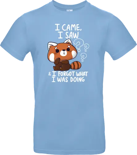 Forgetful Red Panda