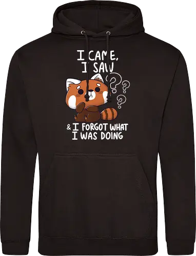 Forgetful Red Panda