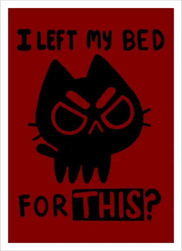 I left my bed for this