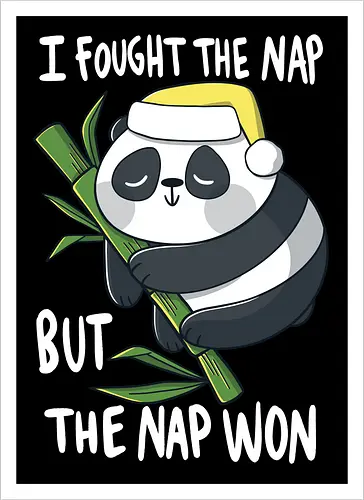 Sleepy Panda