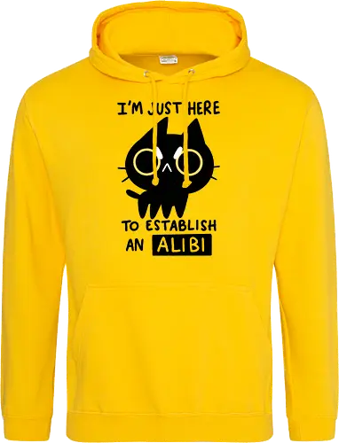 My Alibi