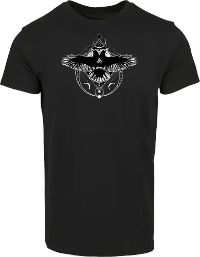 Huginn and Muninn