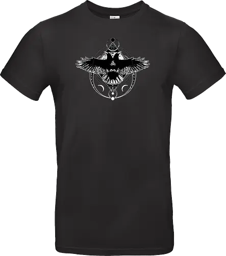 Huginn and Muninn