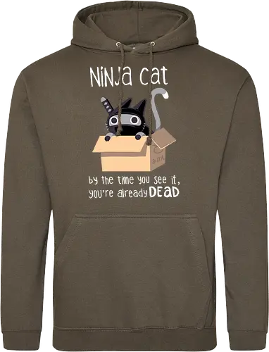 Ninja Cat