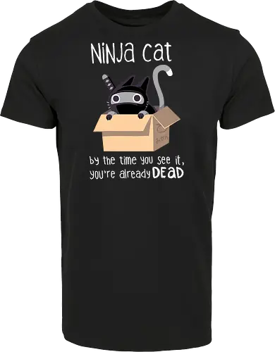 Ninja Cat