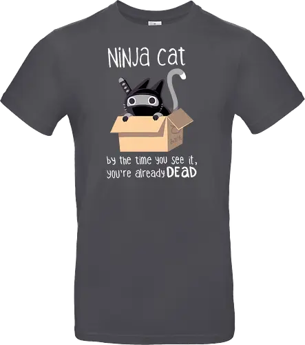 Ninja Cat