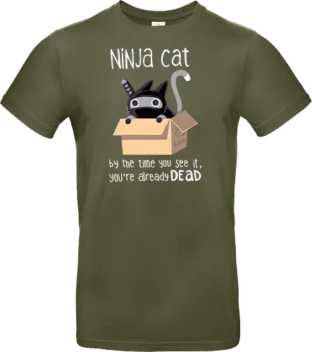 Ninja Cat