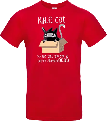 Ninja Cat