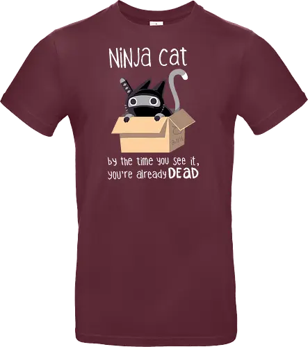 Ninja Cat