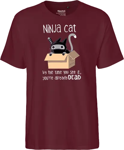 Ninja Cat