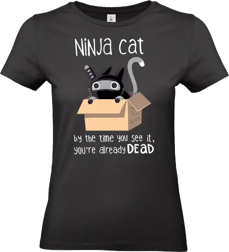 Ninja Cat